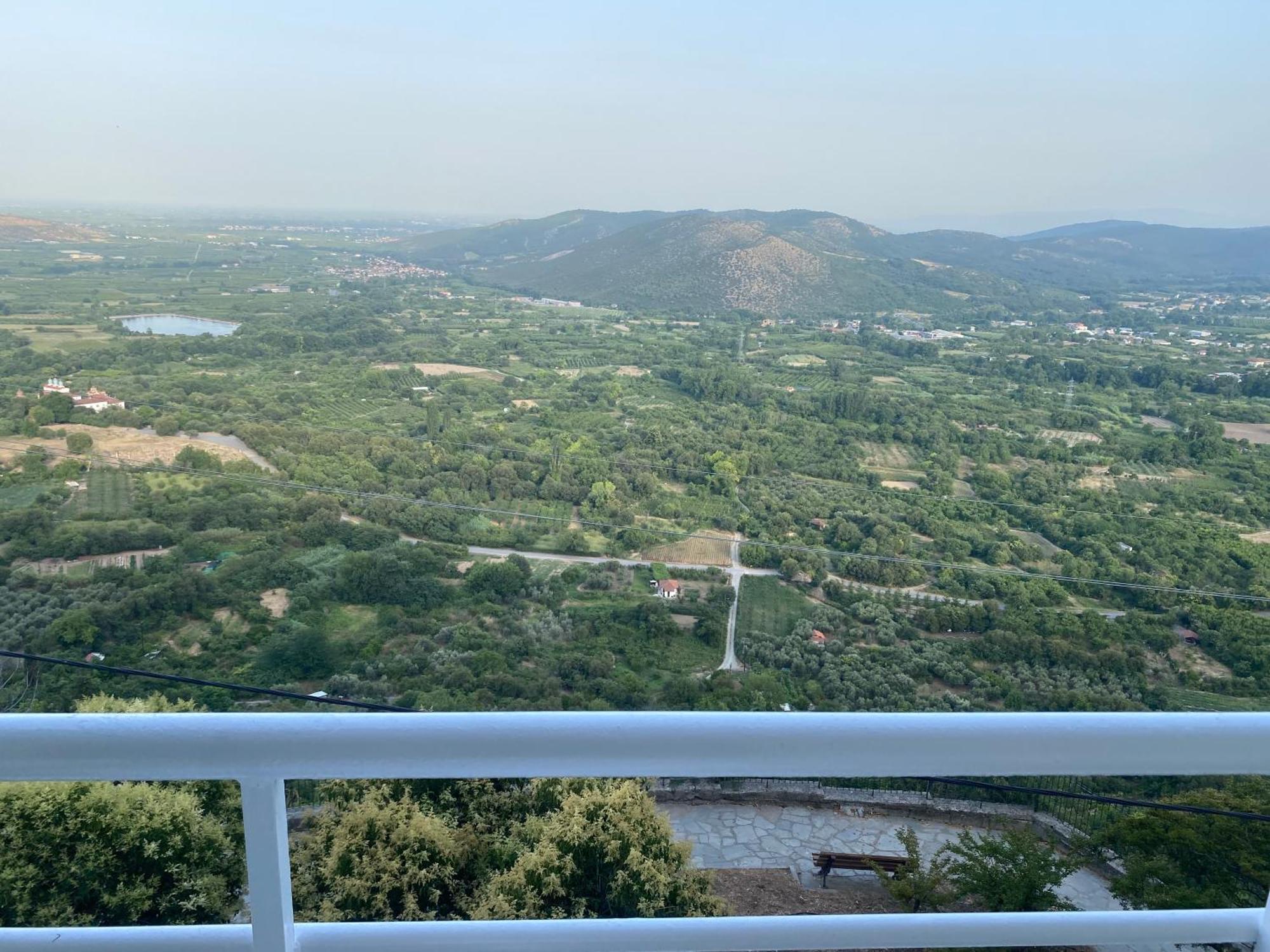 With View